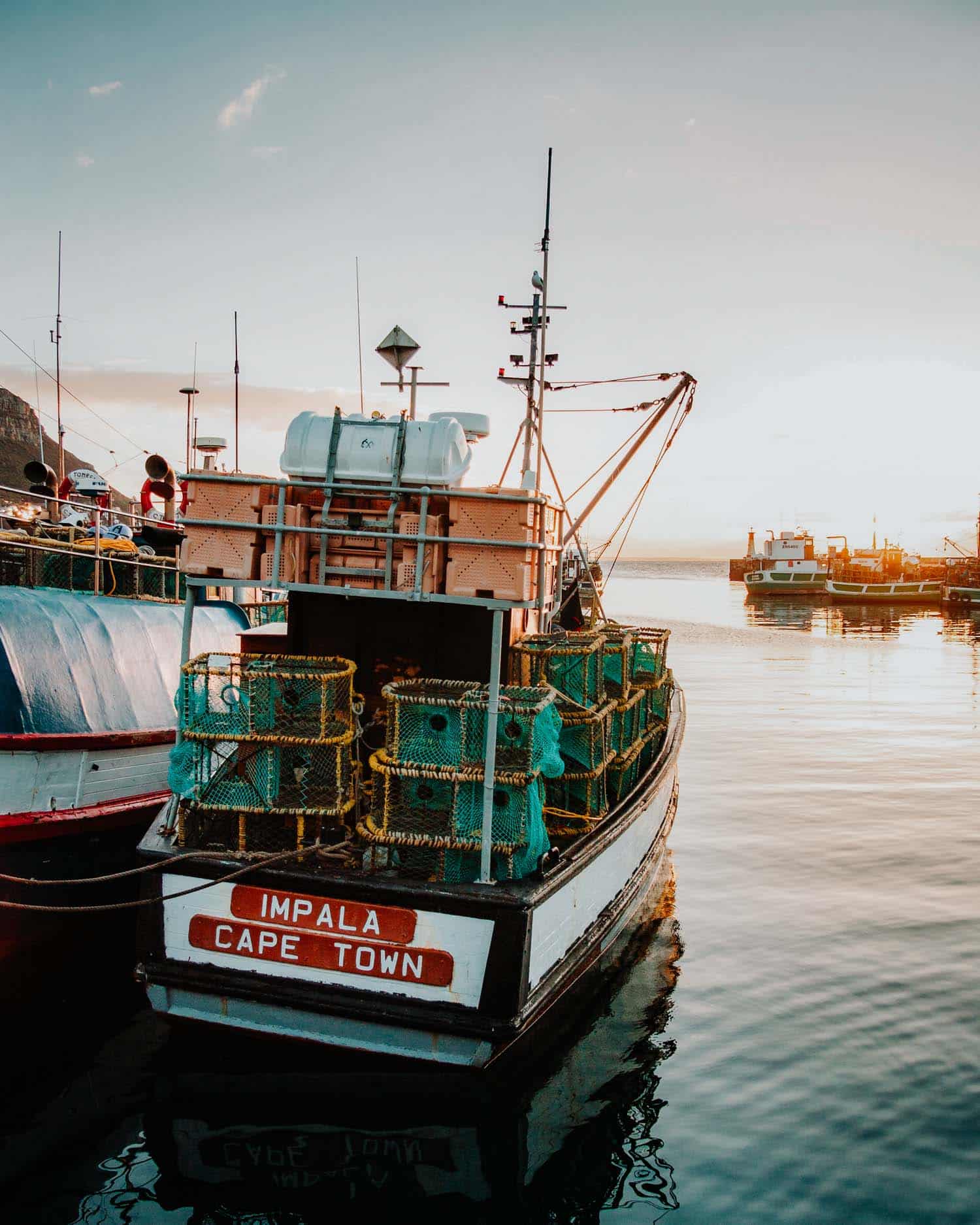 14 of the Best Things To Do in Kalk Bay