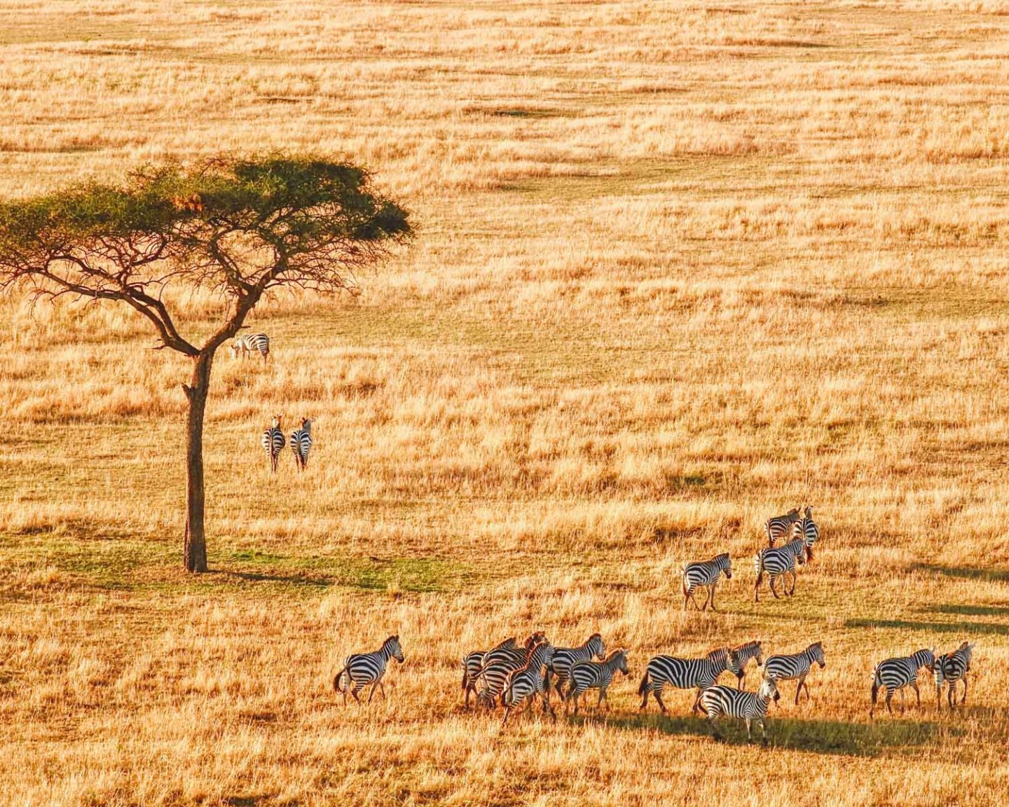 tanzania