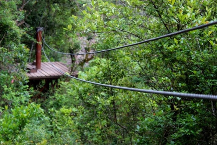 Unzipping Adventure at Magoebaskloof Canopy Tour!
