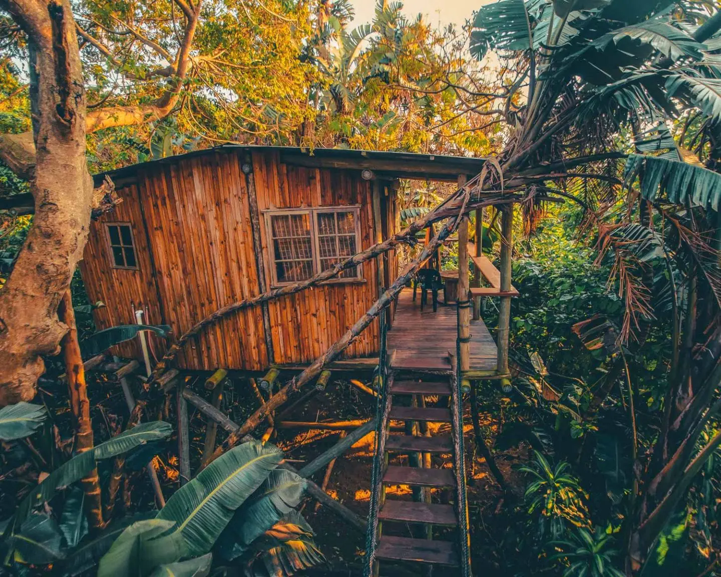 treehouse in south africa