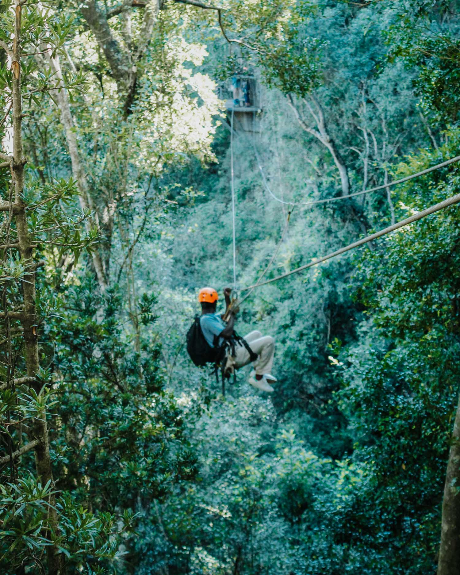 Drakensberg Canopy Tour Exploring The Blue Grotto Forest From Above
