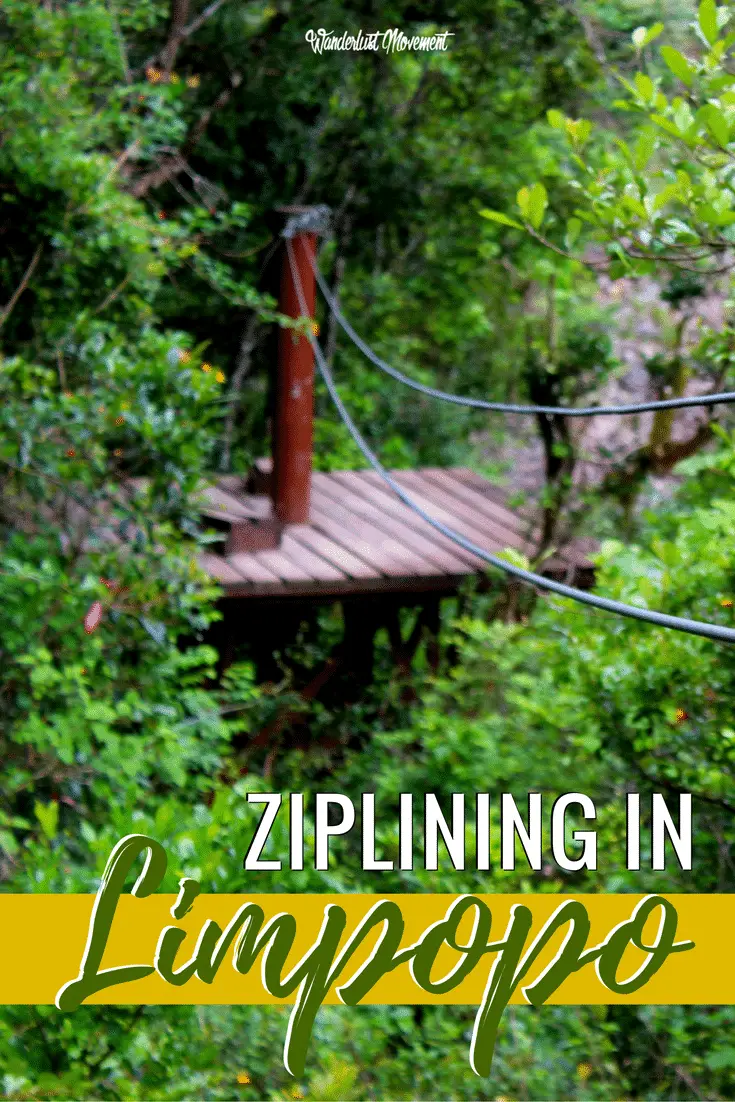 Unzipping Adventure at Magoebaskloof Canopy Tour!