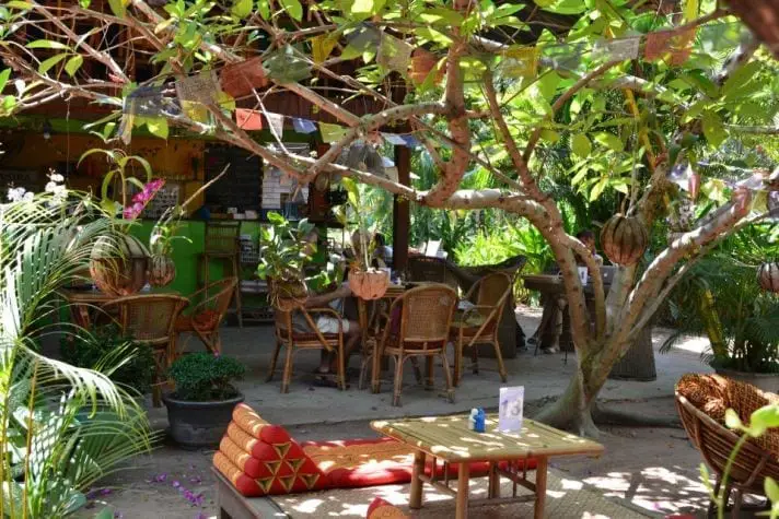 4 of the Best Vegan Restaurants in Siem Reap