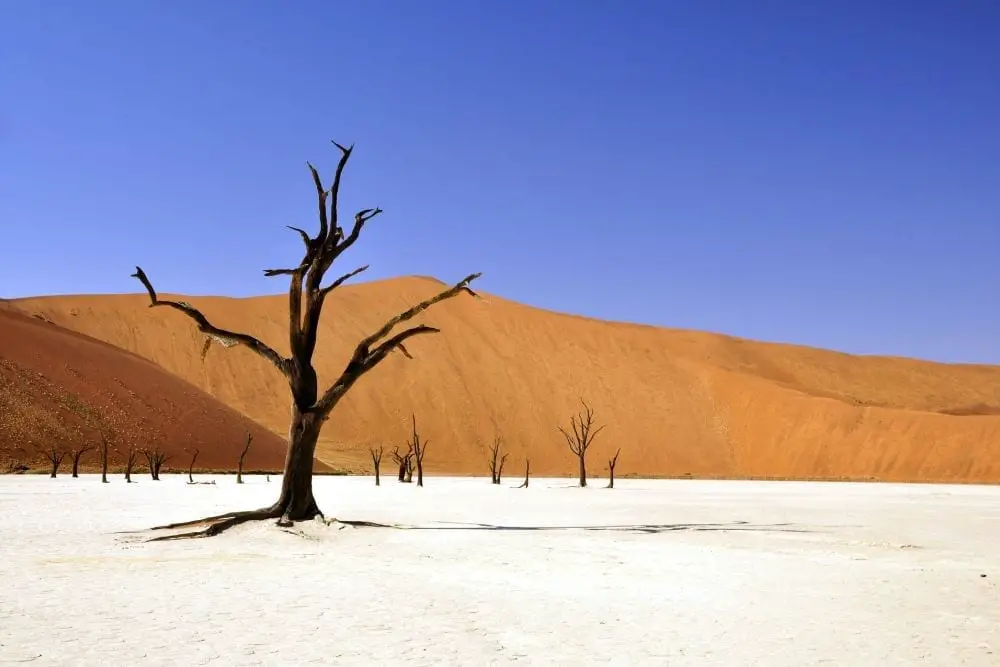 10 of the Cheapest African Countries to Visit • Wanderlust
