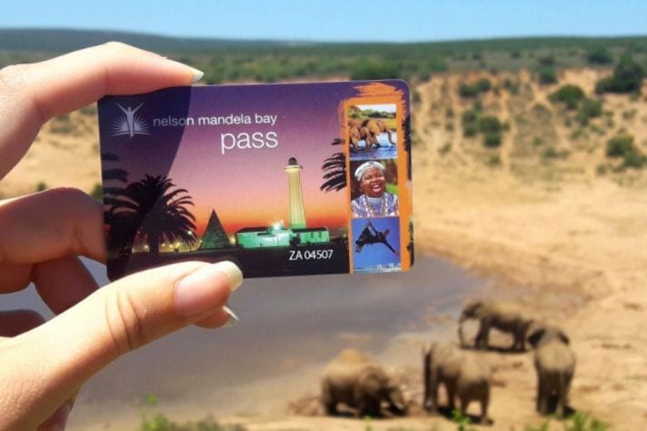 How to Visit Addo National Park: A Complete Self-Drive Safari Guide