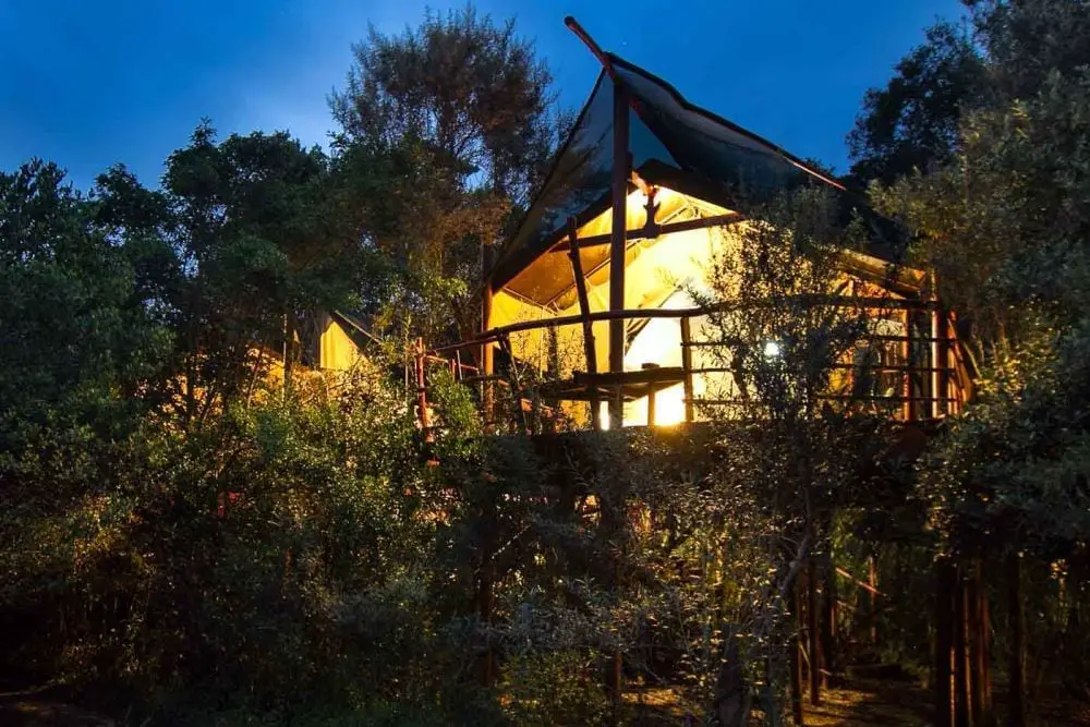 glamping western cape teniqua treetops