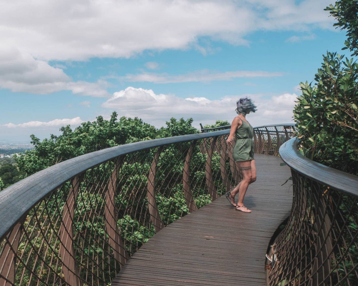 kirstenbosch botanica gardens