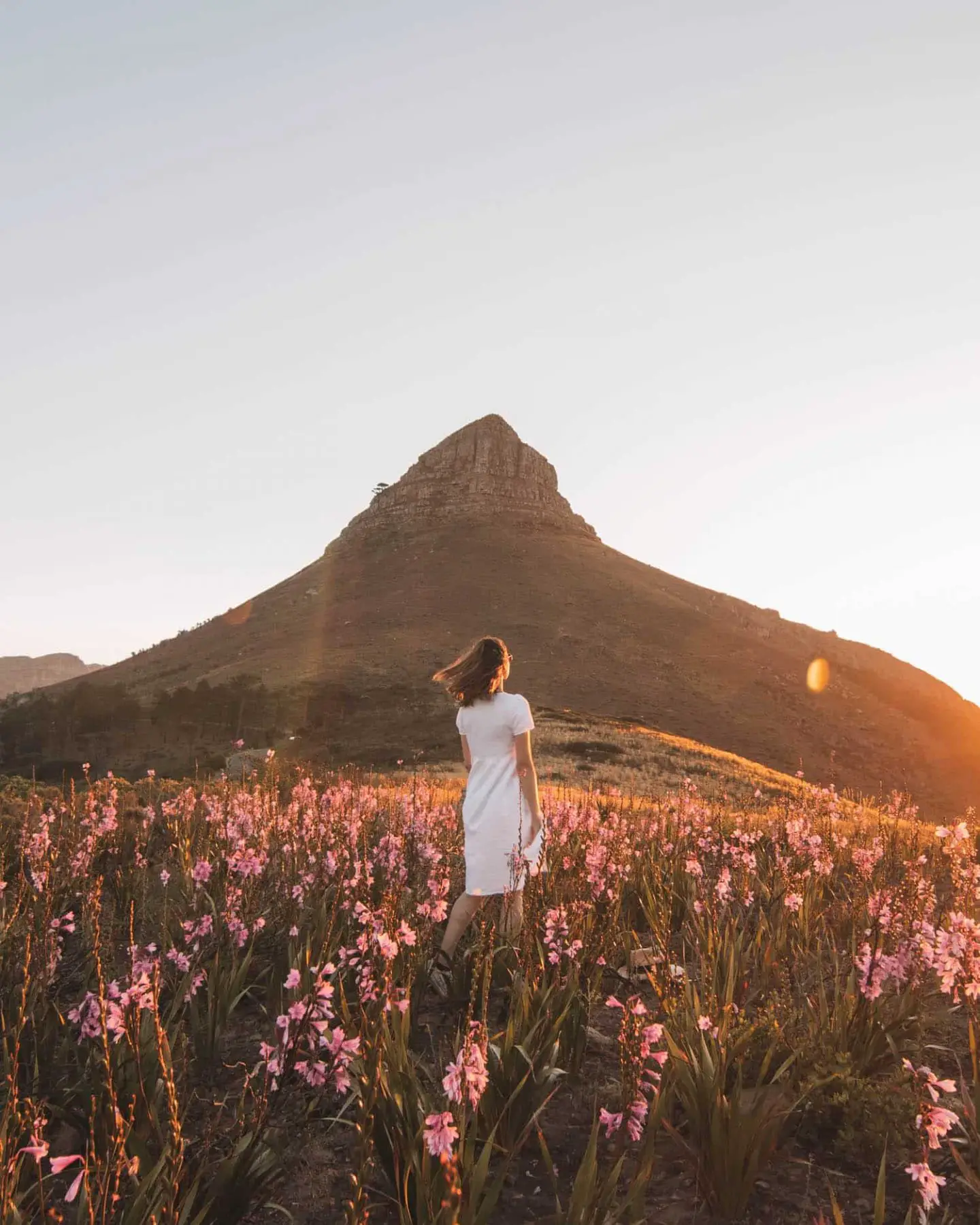 girl standing in a field of flowers at sunset on signal hill