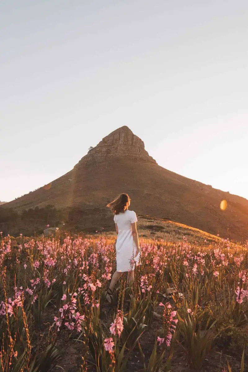 girl standing in a field of flowers at sunset on signal hill