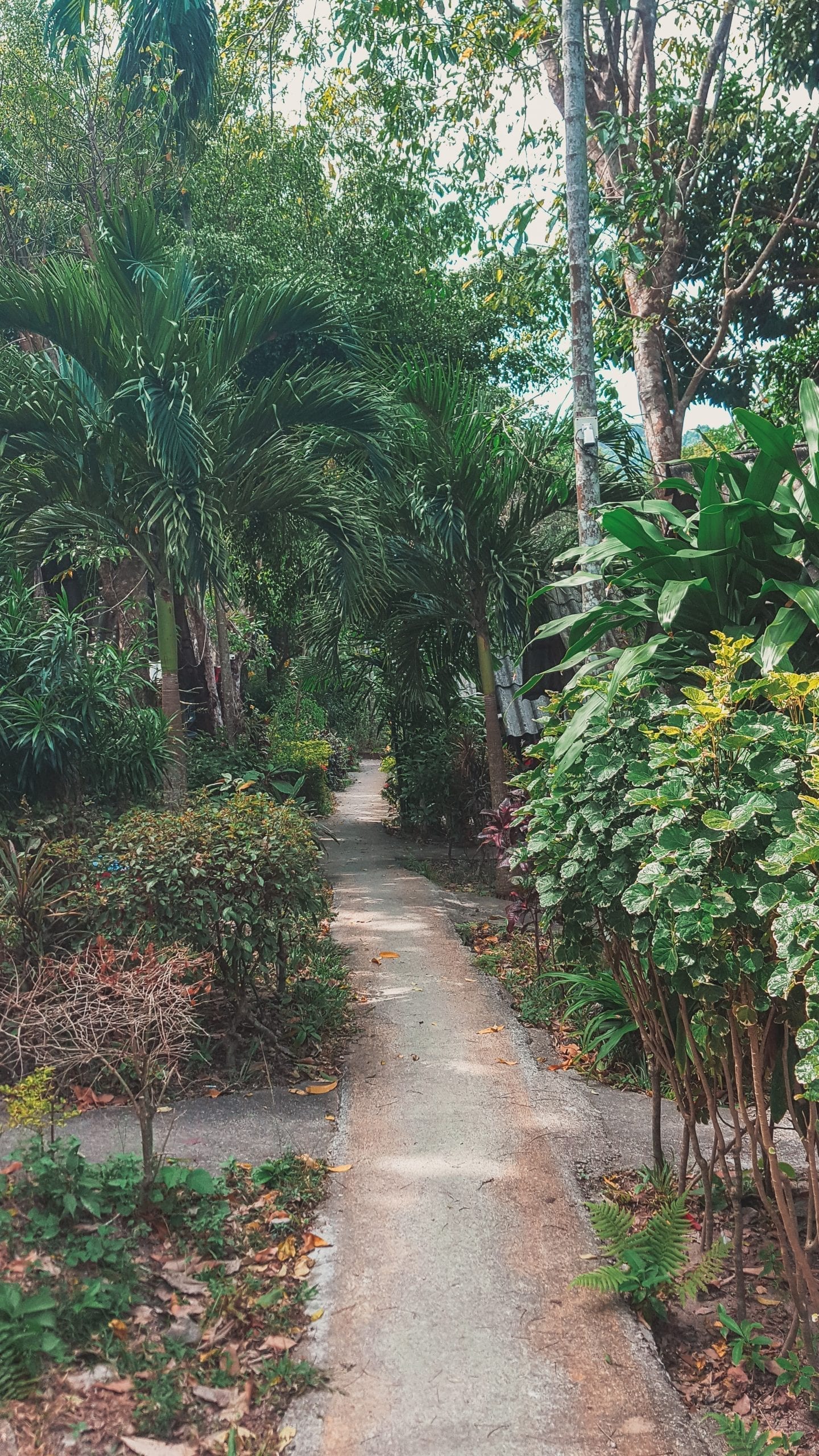 Staying at Rapala Rock Wood Resort in Thailand | Wanderlust Movement | #railaybeach #thailand #budgettravel #budgetaccommodation #traveltips #backpacking