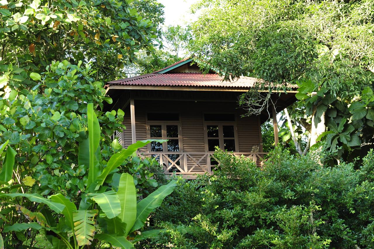 How to Backpack Sepilok, Borneo on a Budget | Wanderlust Movement | #malaysia #backpacking #borneo #budgettravel #wildlife