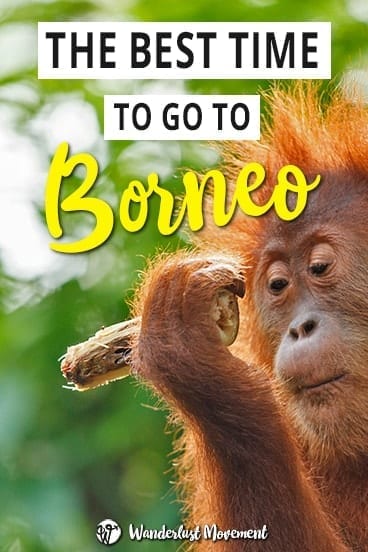 The Best Time Visit Borneo, Malaysia | Wanderlust Movement | #backpacking #malaysia #borneo #southeastasia #traveltips #visitmalaysia