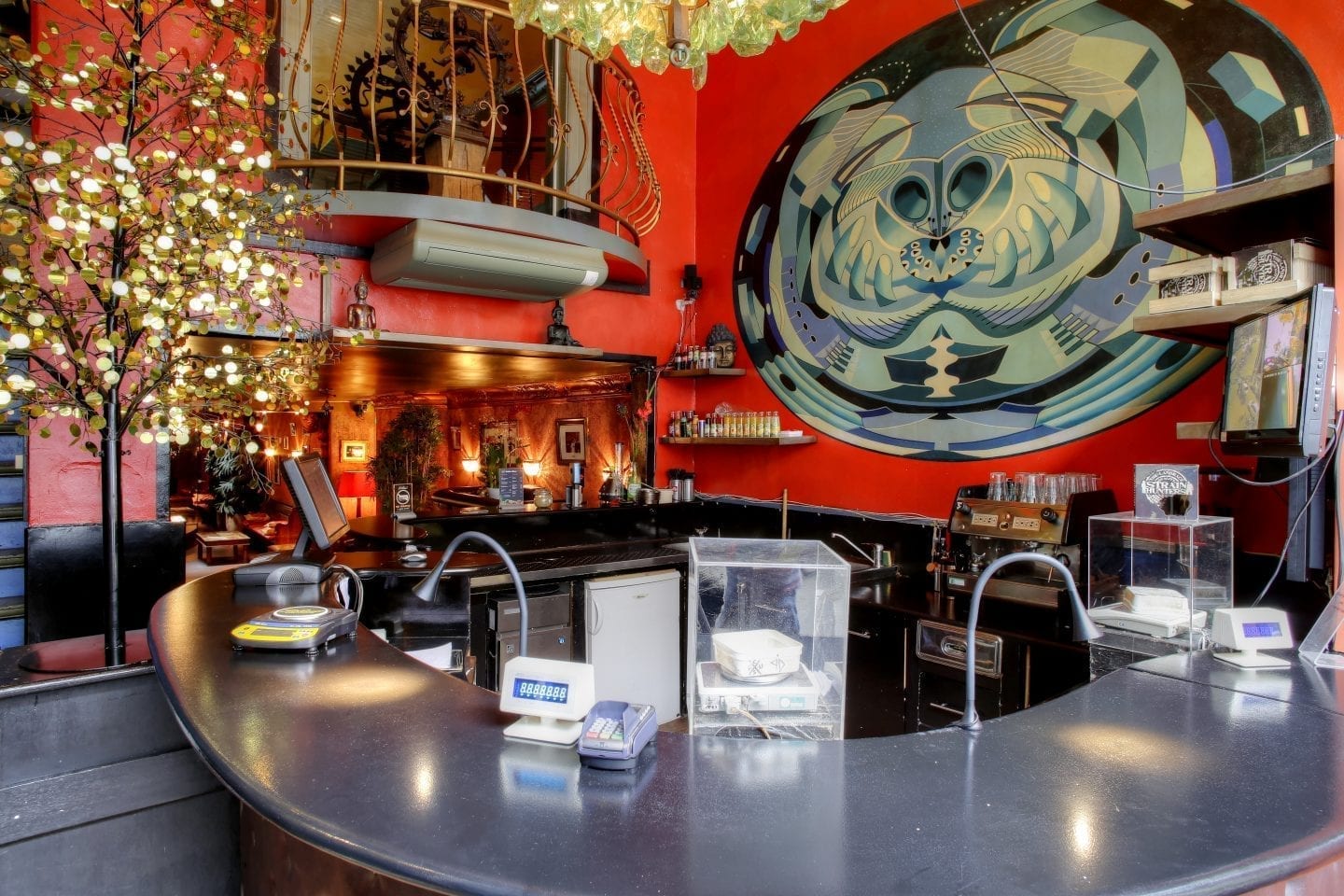 Amsterdam Coffeeshops: How to Get Stoned Like a Pro