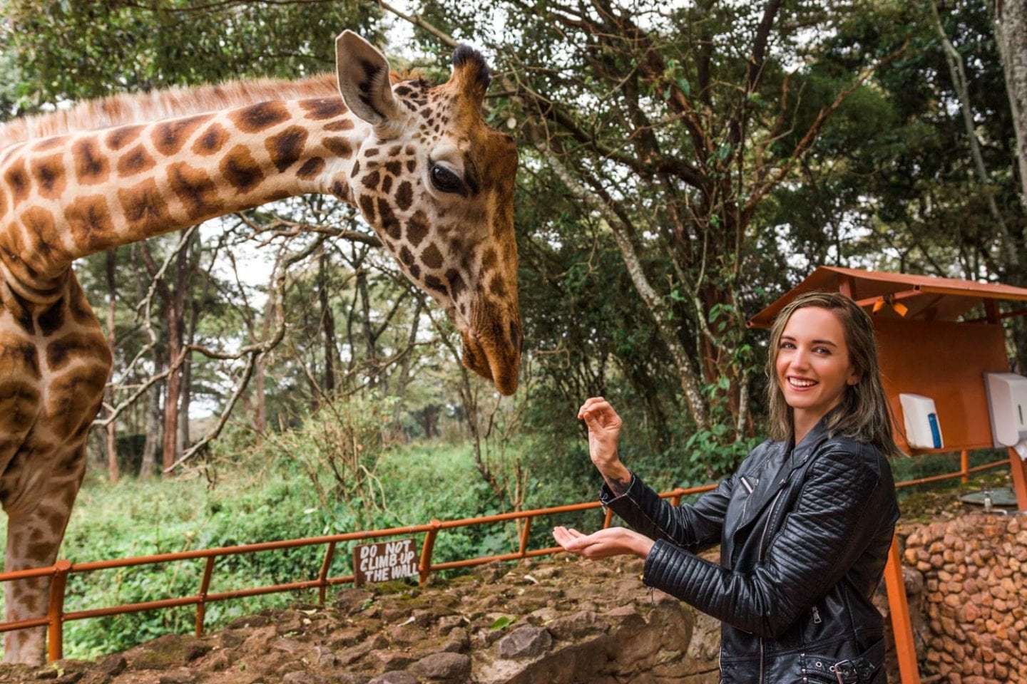 giraffe center in nairobi