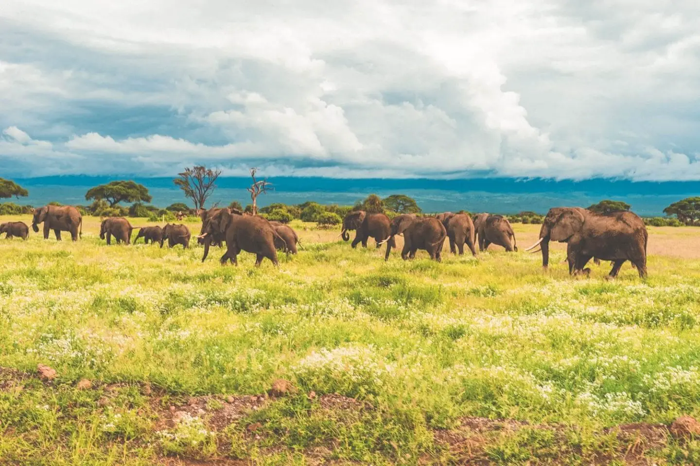 safari in nairobi