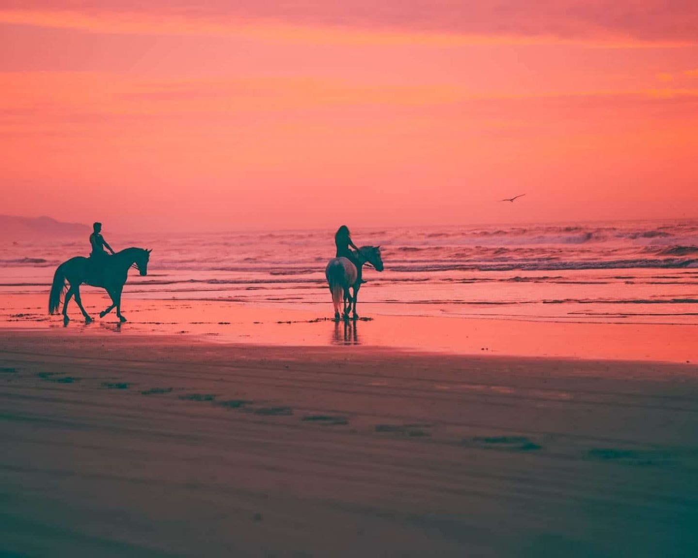 go horseback riding for a romantic date in cape town