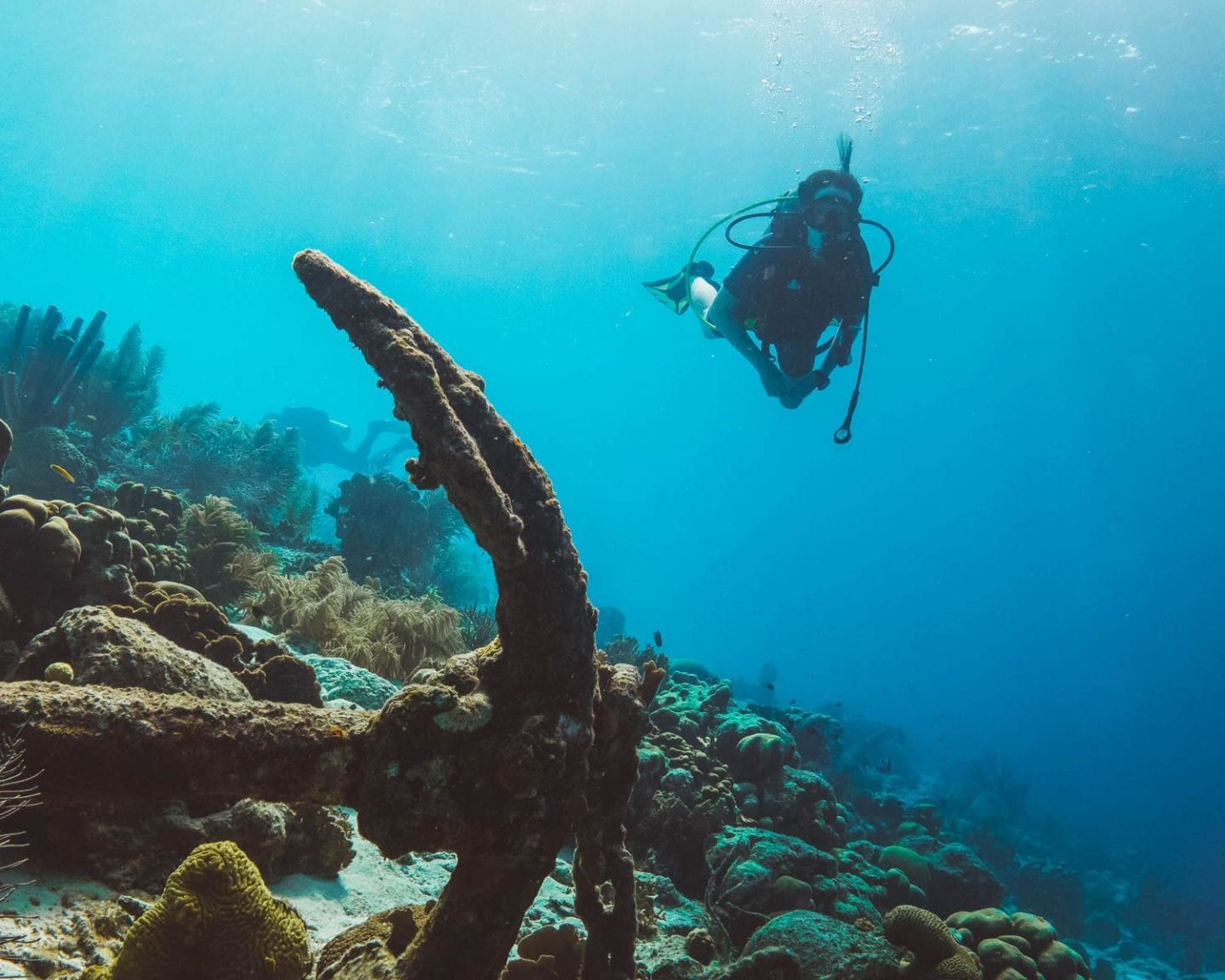 45 Awesome Things to Do in Cape Town A (Hella Long) Local's Guide