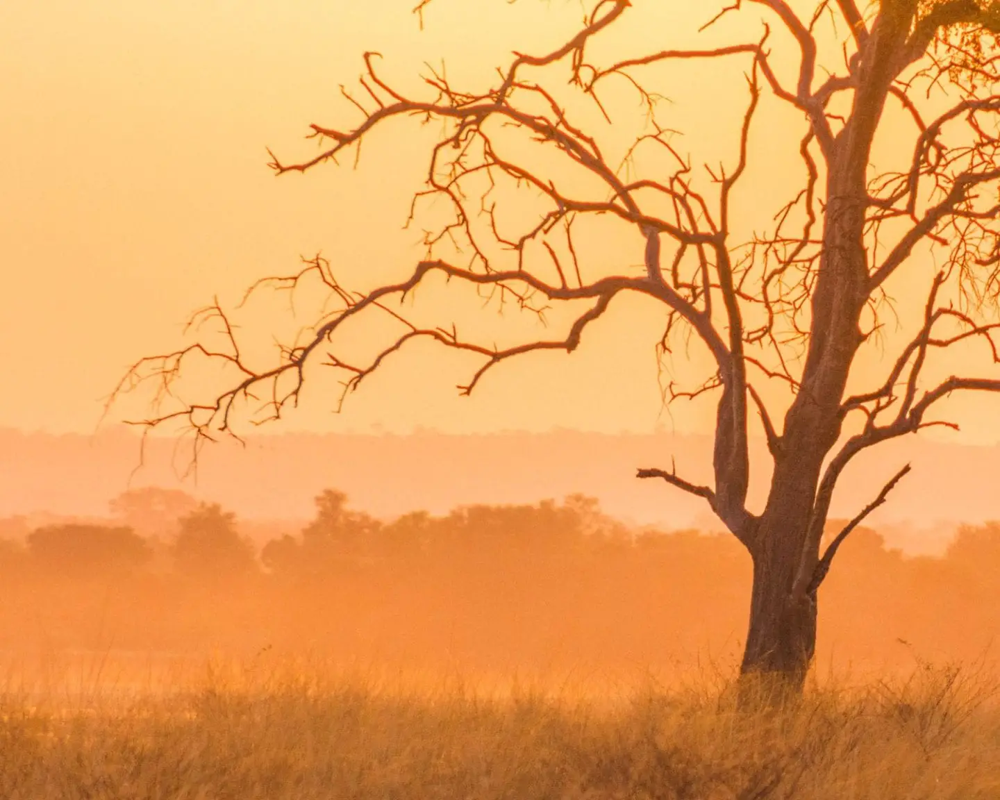 sunset in south luangwa national park