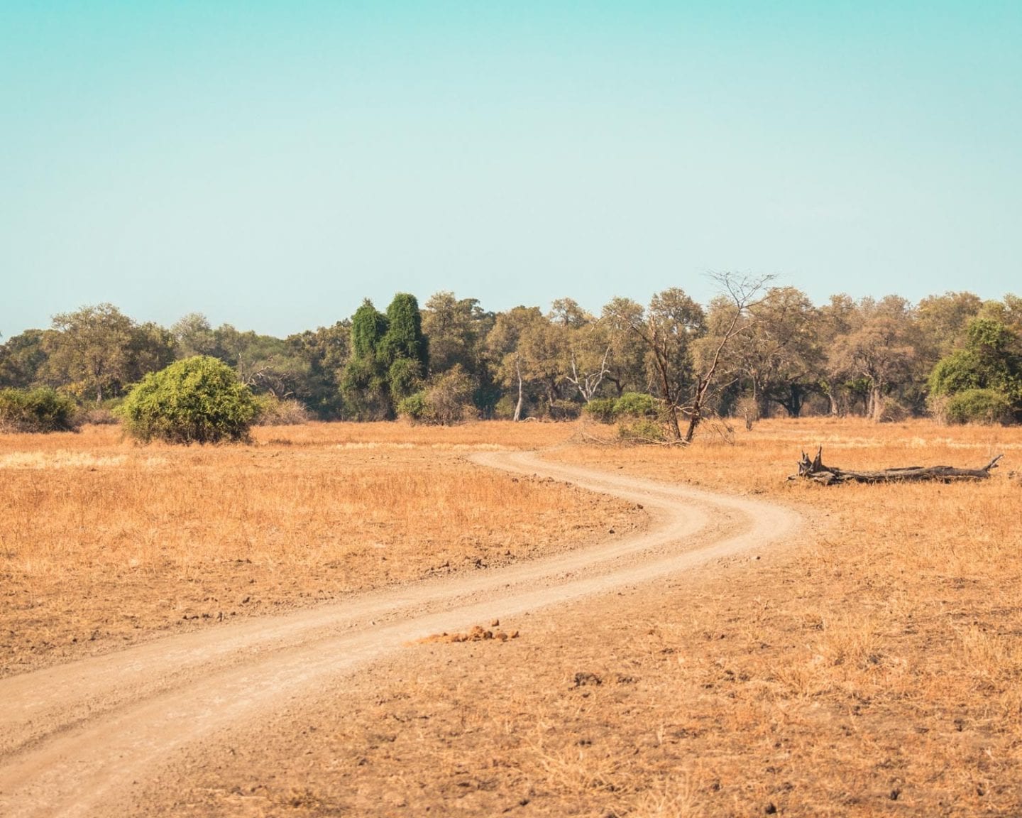 road in south luangwa national park
