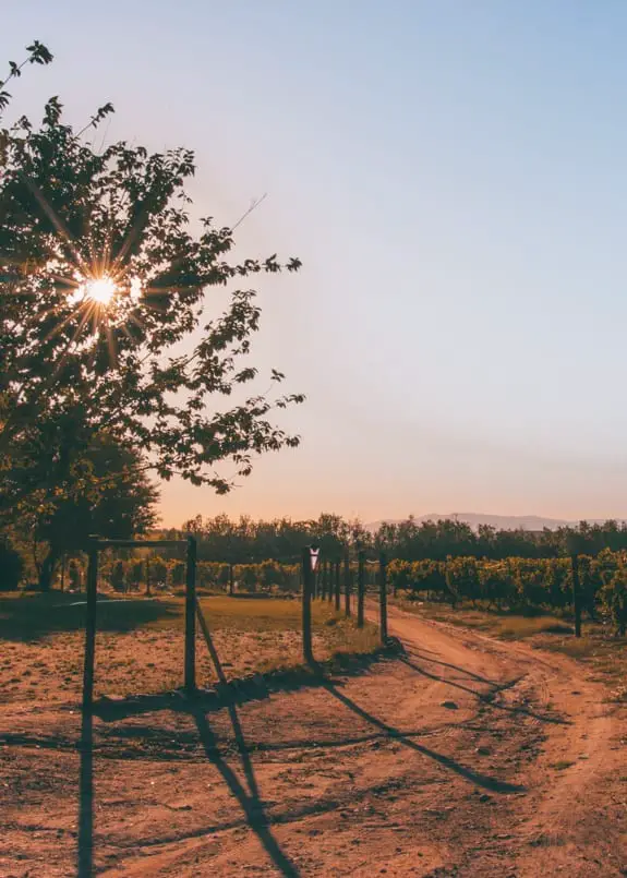 wine farm in wellington