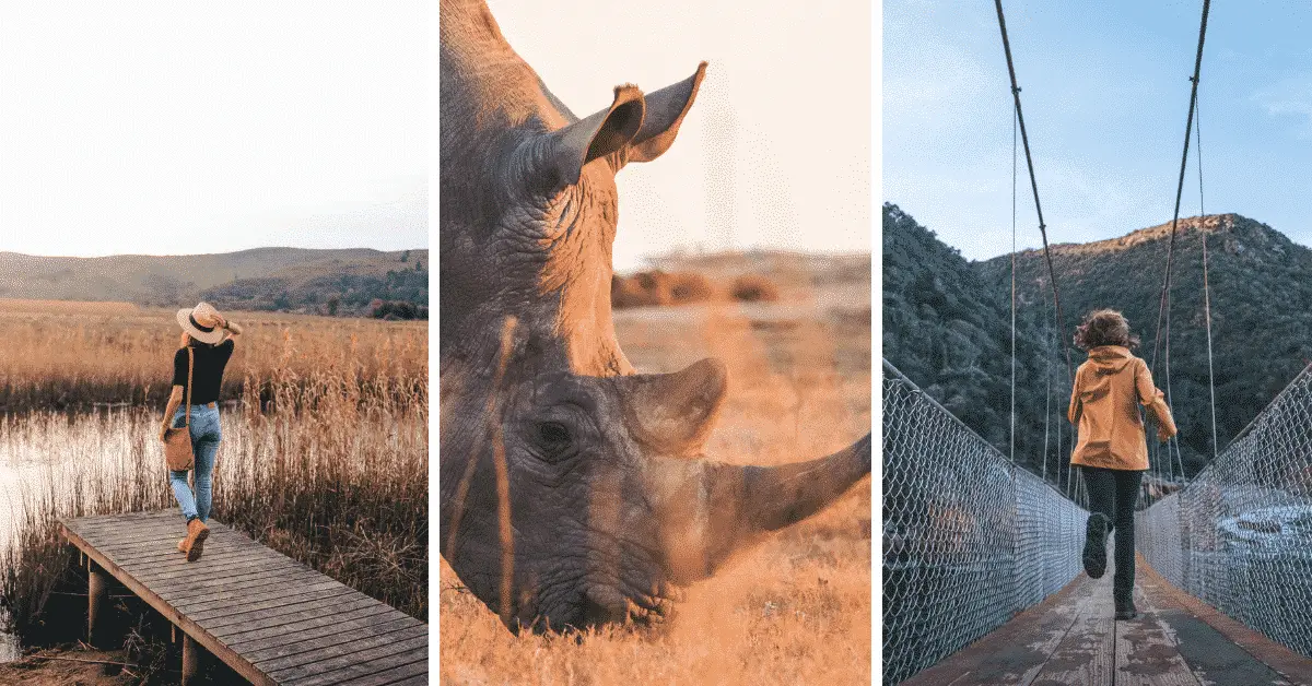 The Perfect Itinerary for an Epic South Africa Road Trip