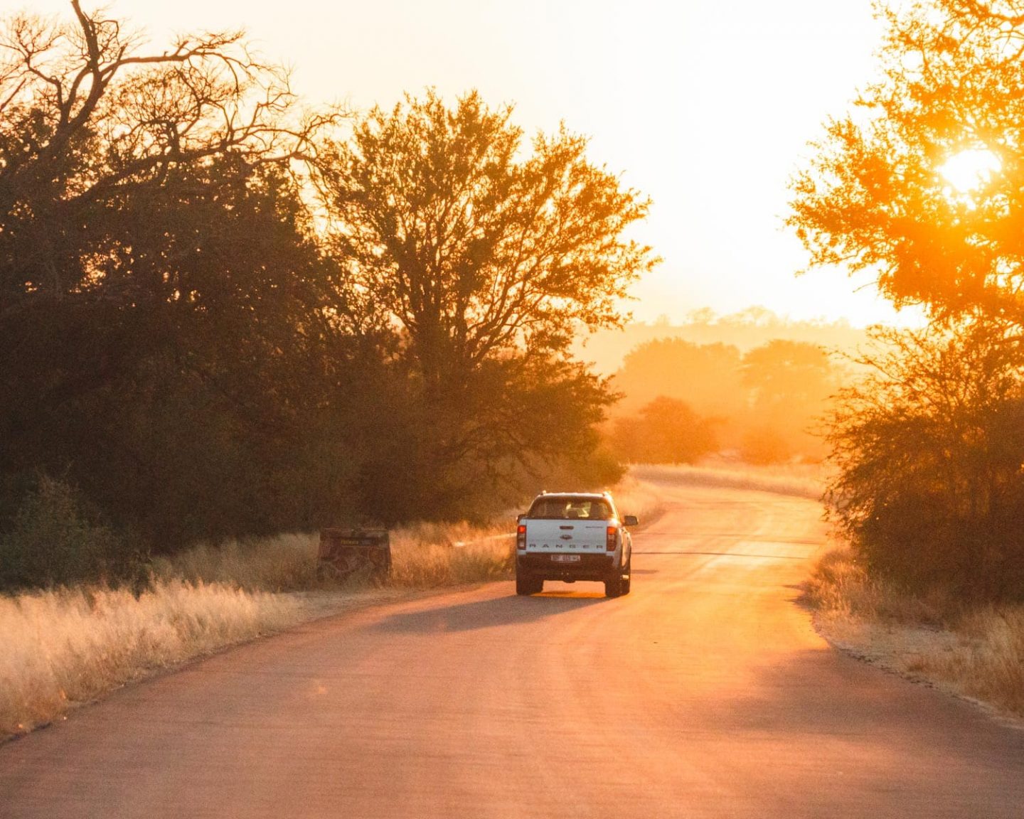 driving through kruger national park at sunset