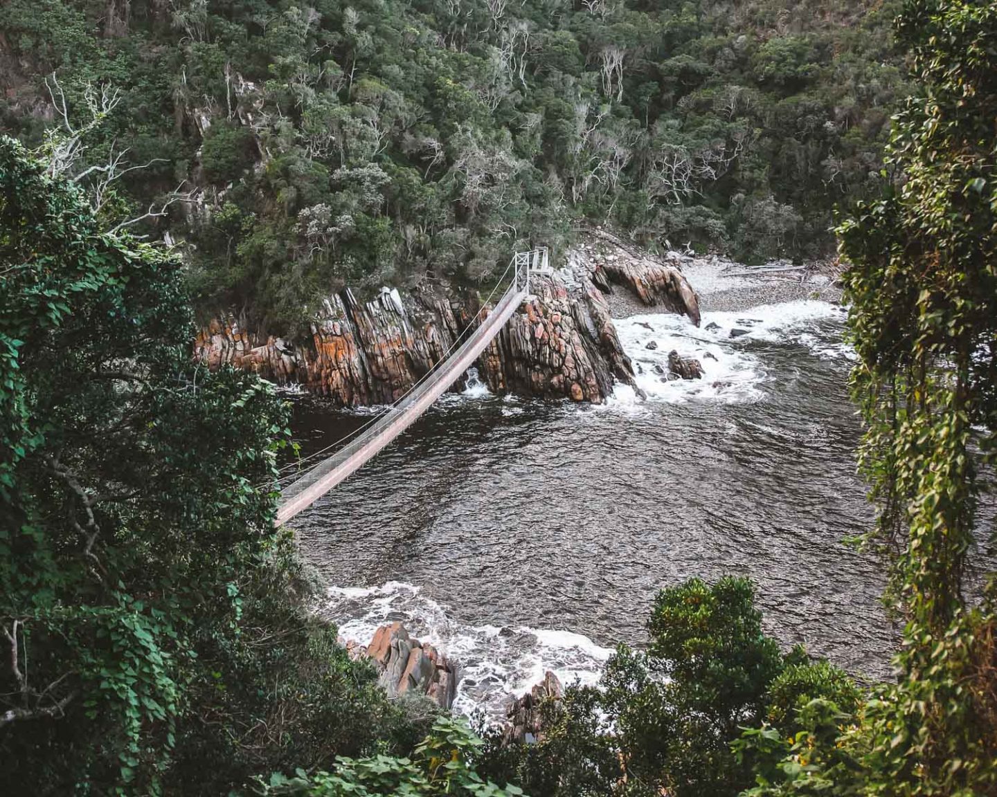 tsitsikamma national park