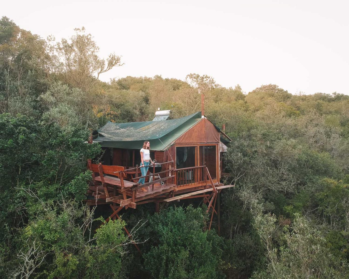 teniqua treetops in knysna