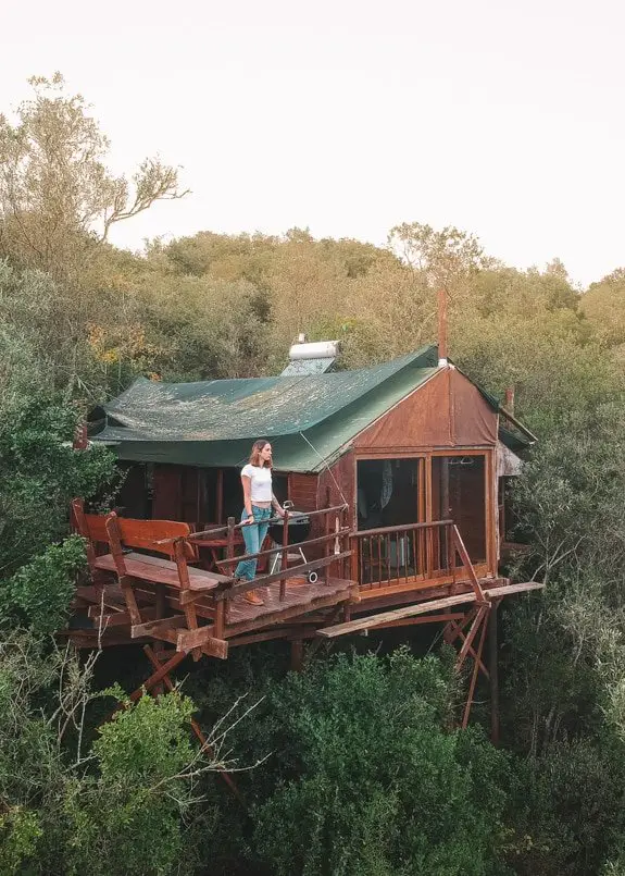 Staying at Teniqua Treetops in Knysna