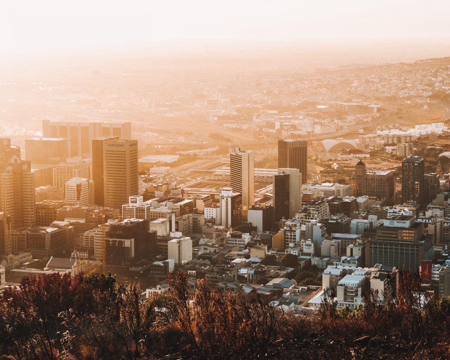 cape town city bowl