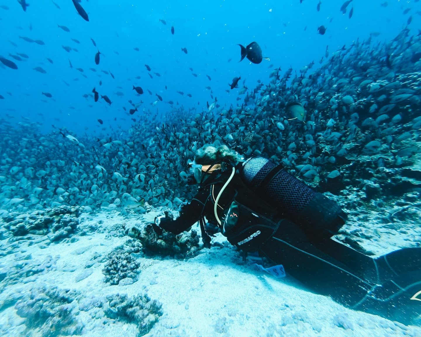 Go Scuba Diving in Sodwana Bay