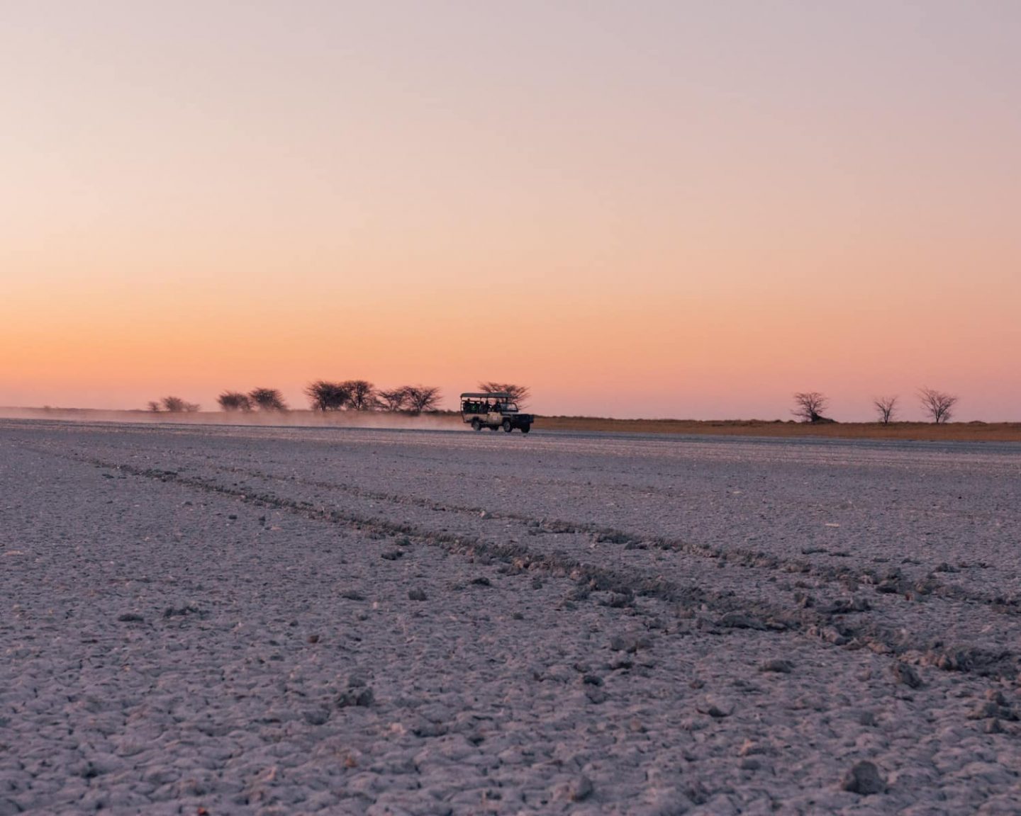 salt pan tours at nata bird sanctuary