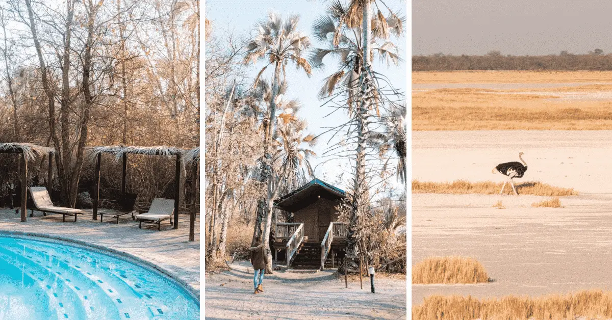 Staying at Nata Lodge in Botswana