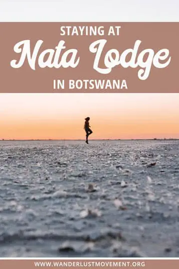 Want to watch thousands of flamingos turn the sky pink? Book a night at Nata Lodge for a unique wildlife experience in Botswana!