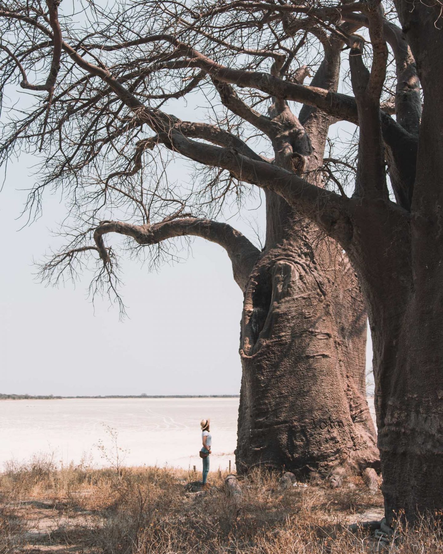 girl standing in front of baines baobabs