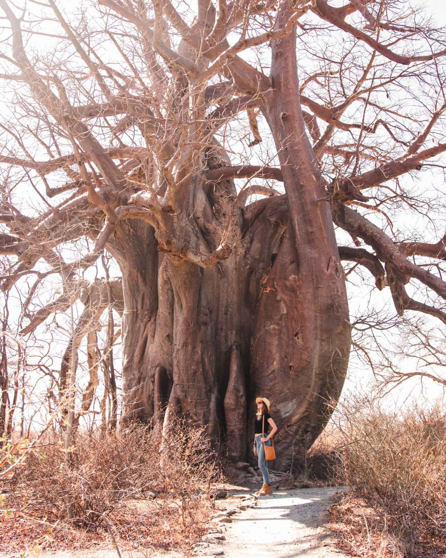 girl standing in front of baobab tree