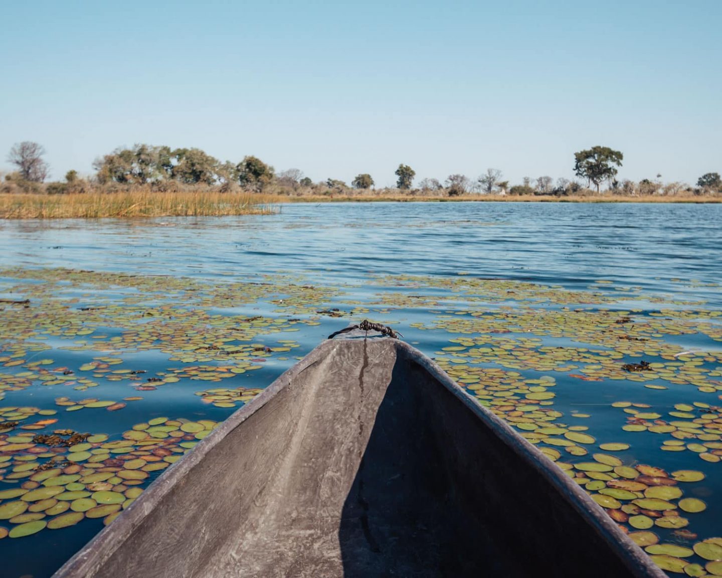 mokoro safari in the okavango delta