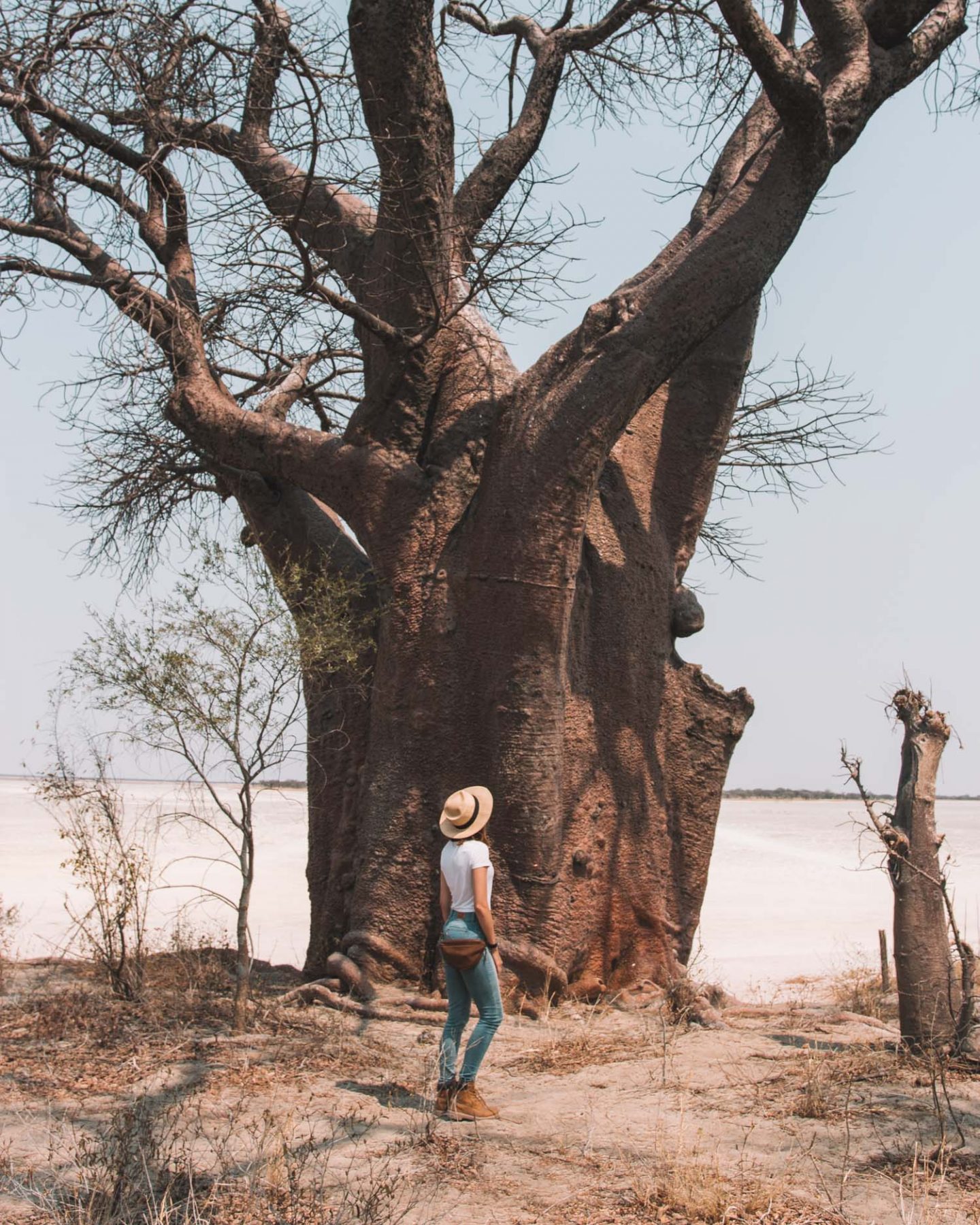 girl at baines baobabs in botswana