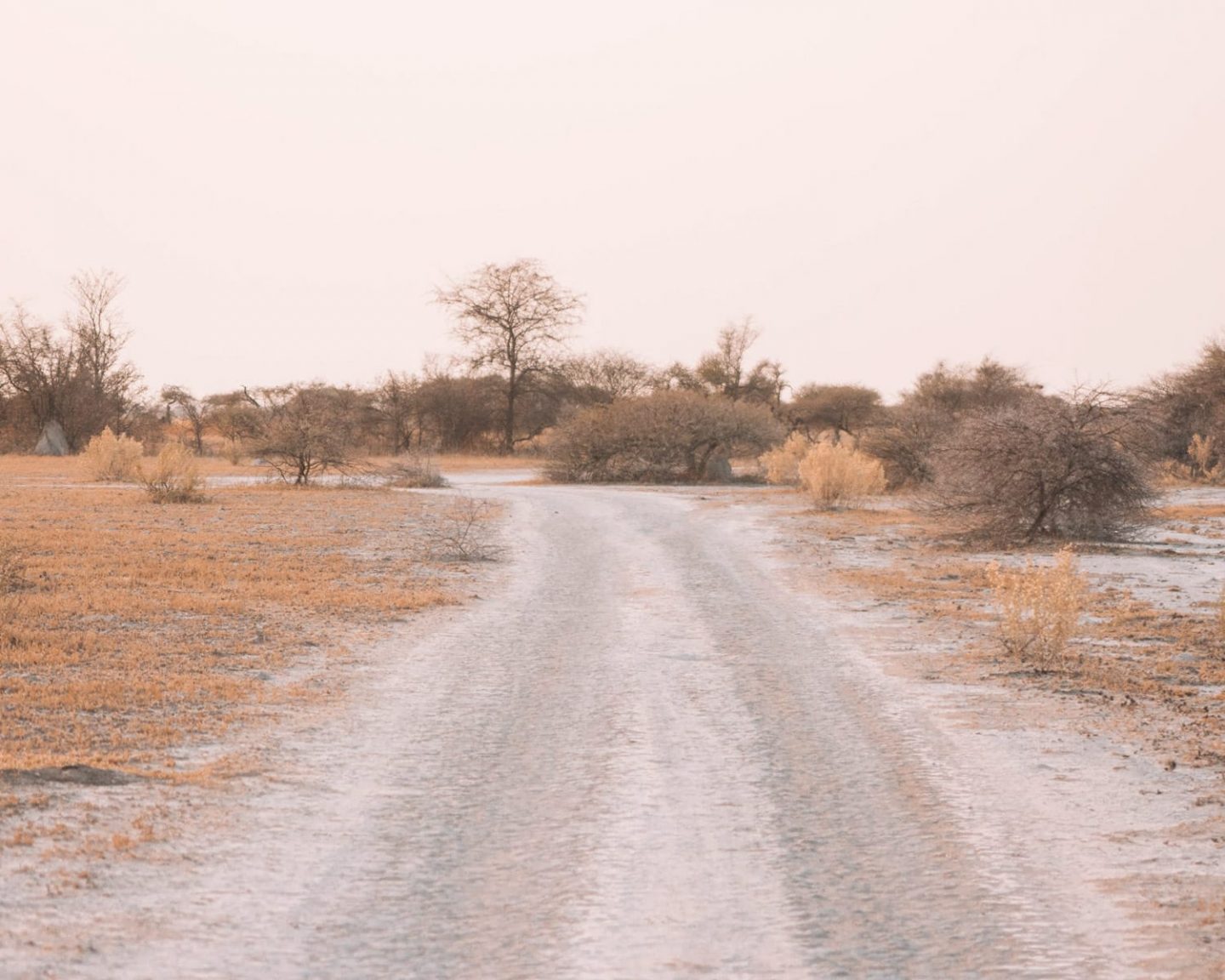 road in nxai pan national park