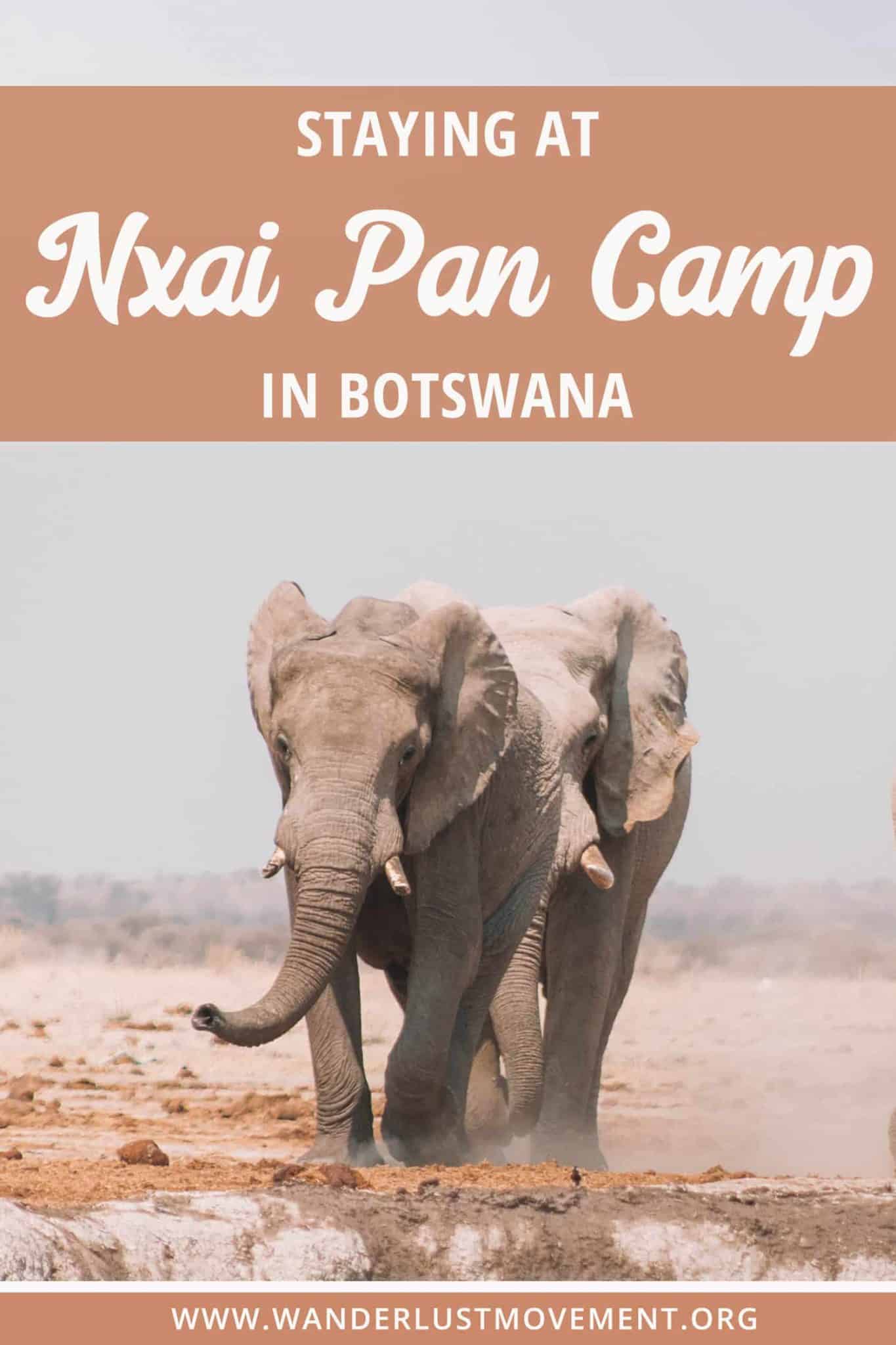 Staying at Nxai Pan Camp in Botswana