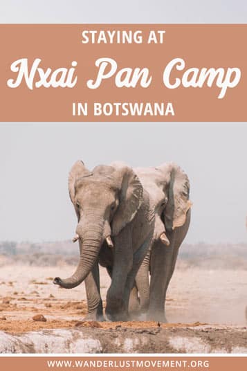 For an exceptional safari experience in Botswana, book a night or two at Nxai Pan Camp. You'll have elephants meters from you and the pool!