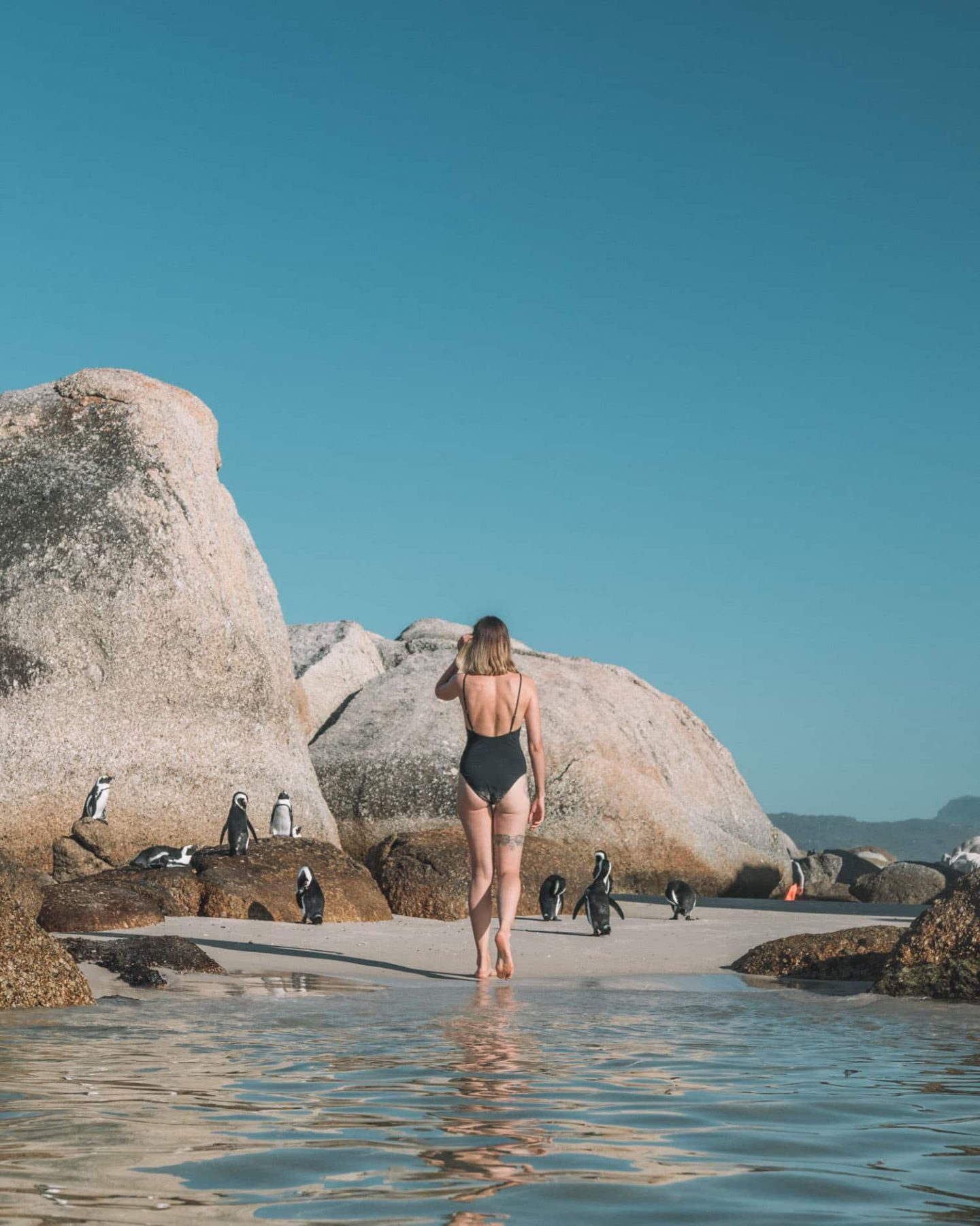 girl with penguins at boulders beach