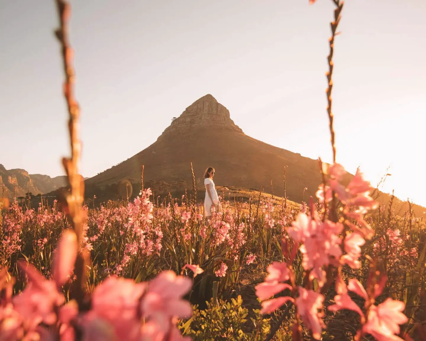 signal hill in cape town