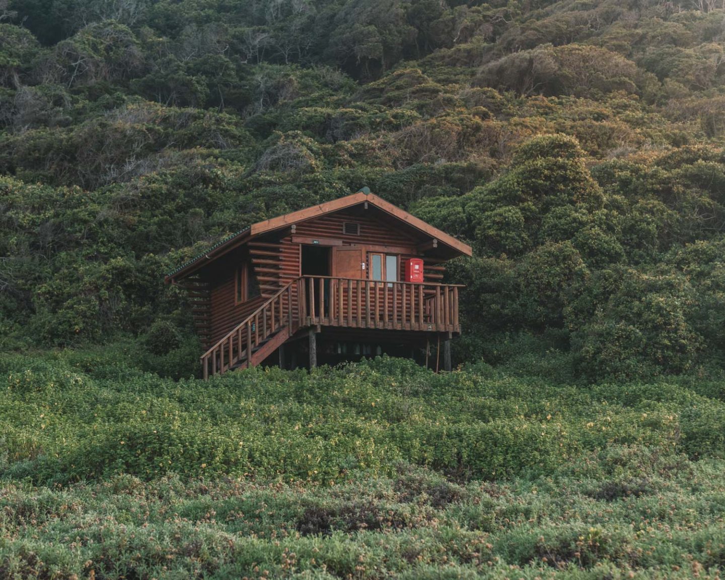 Ngubu Hut