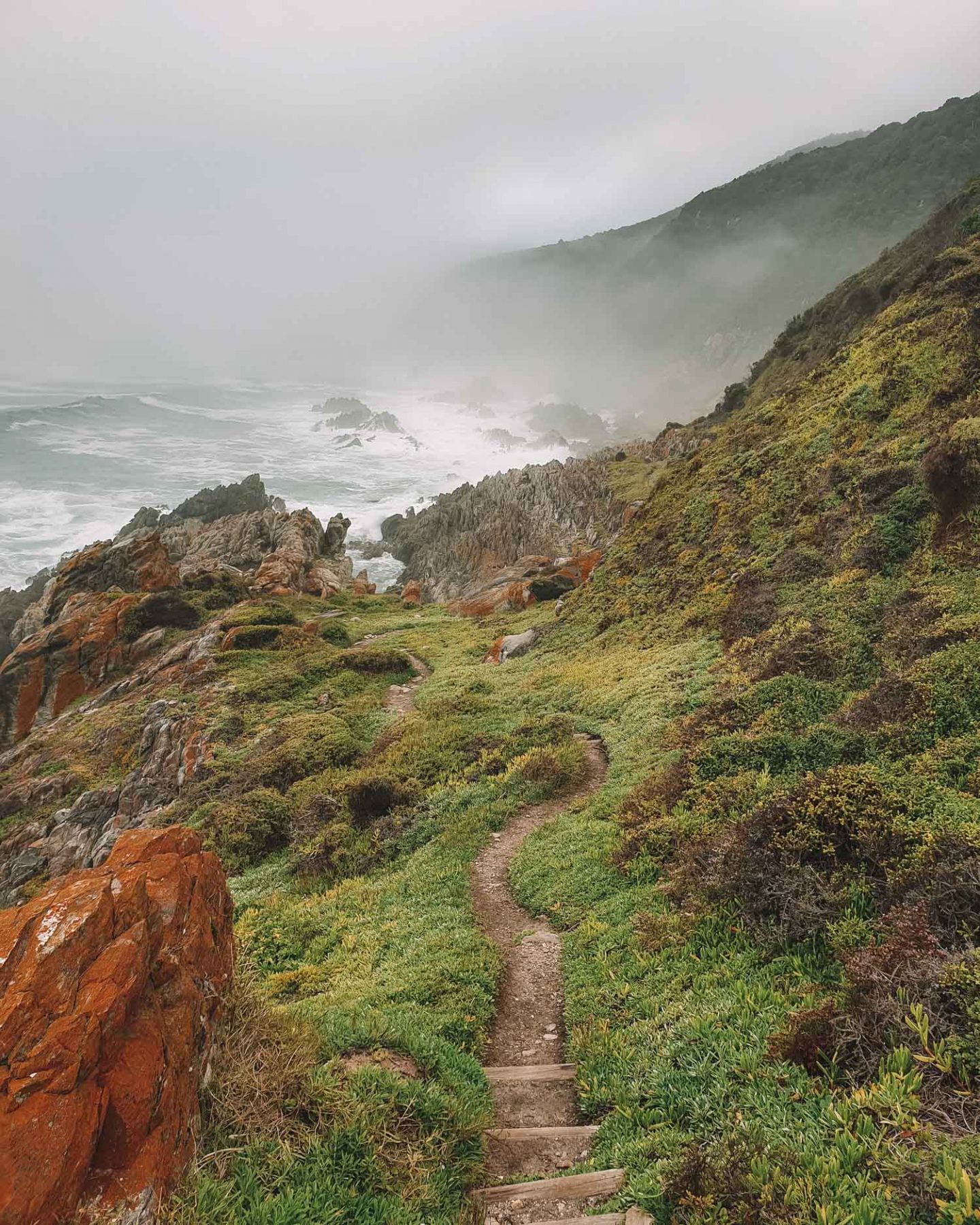 Hiking The Otter Trail in South Africa Absolutely Everything You Need