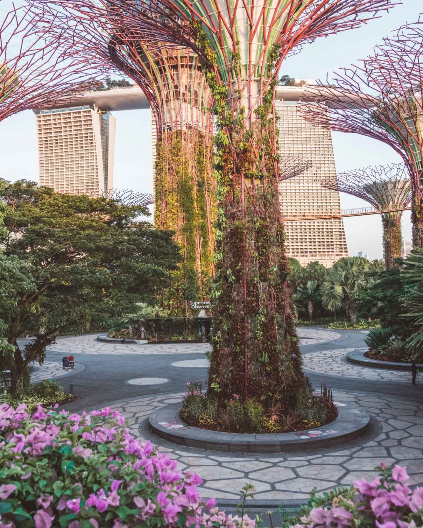 Gardens by the Bay