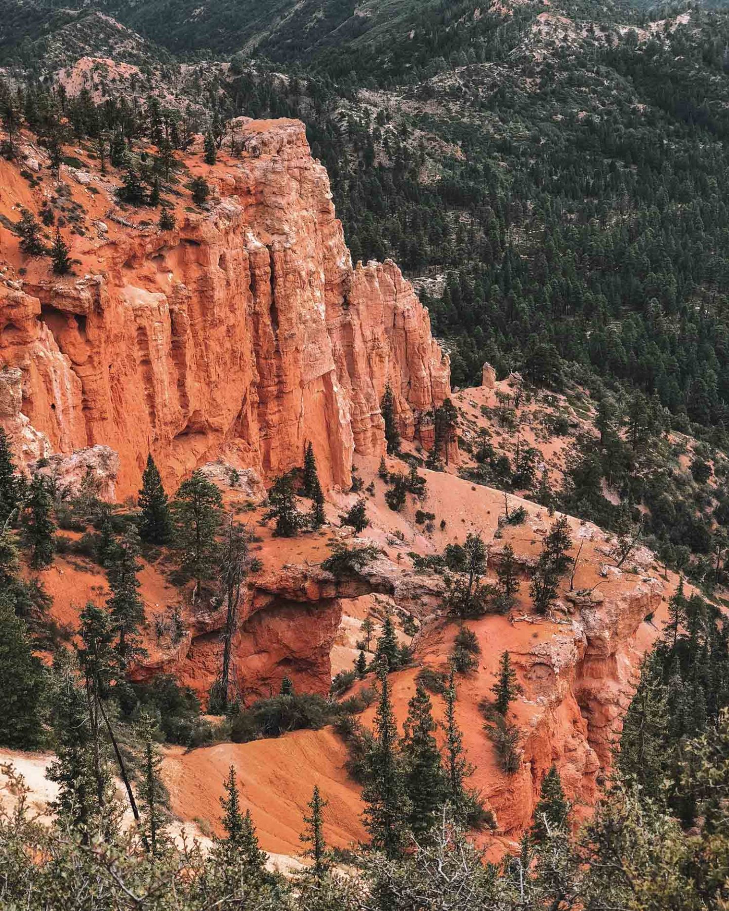 Bryce Canyon National Park, Utah