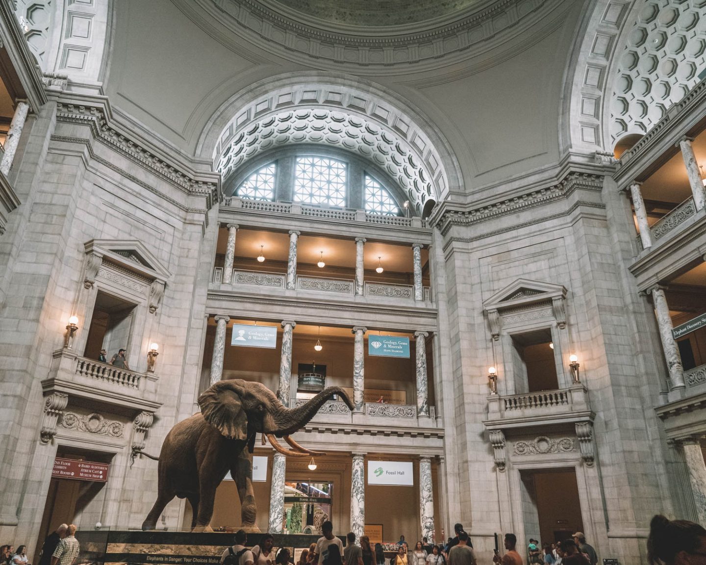 Smithsonian National Museum of Natural History