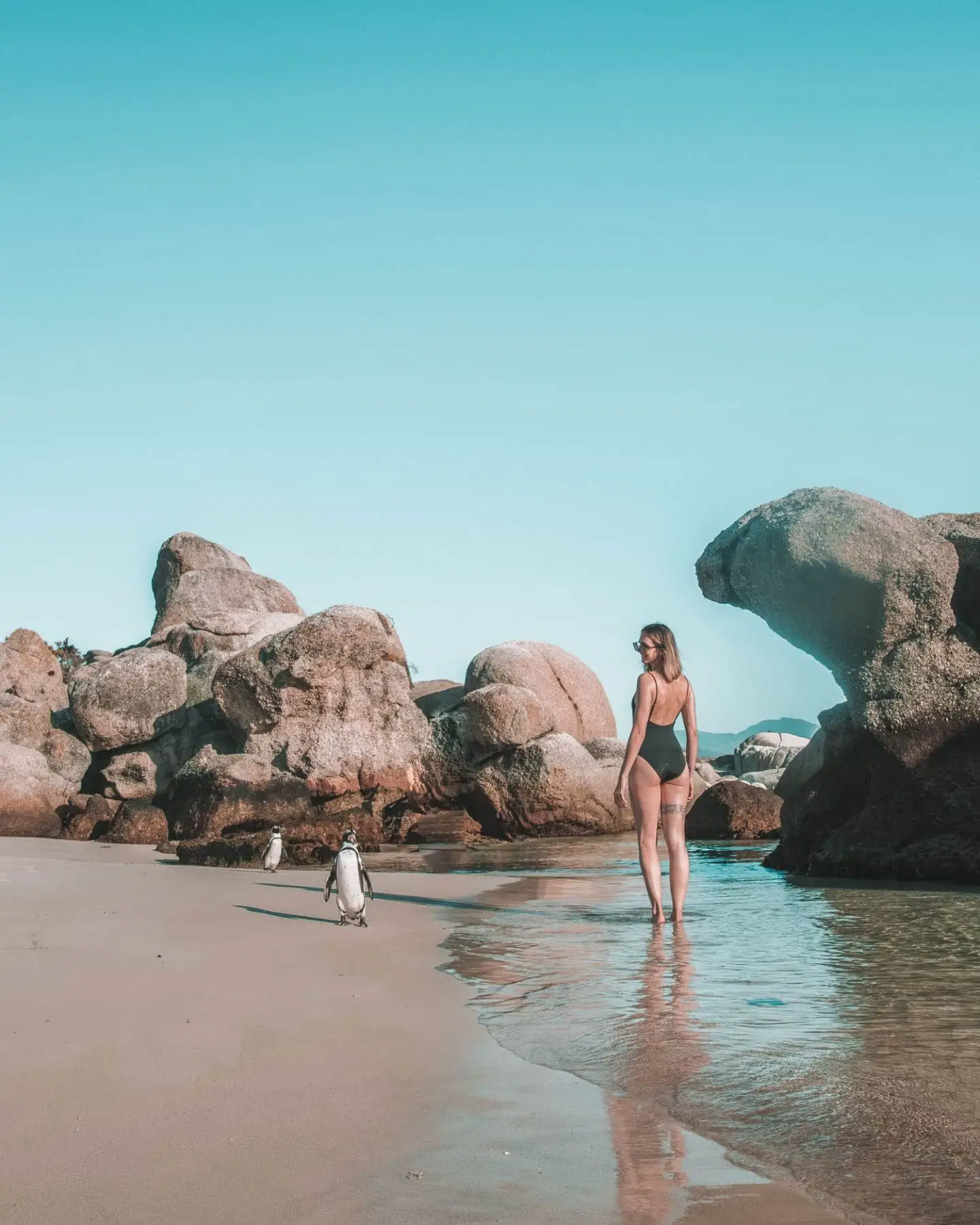 girl standing next to penguins in cape town