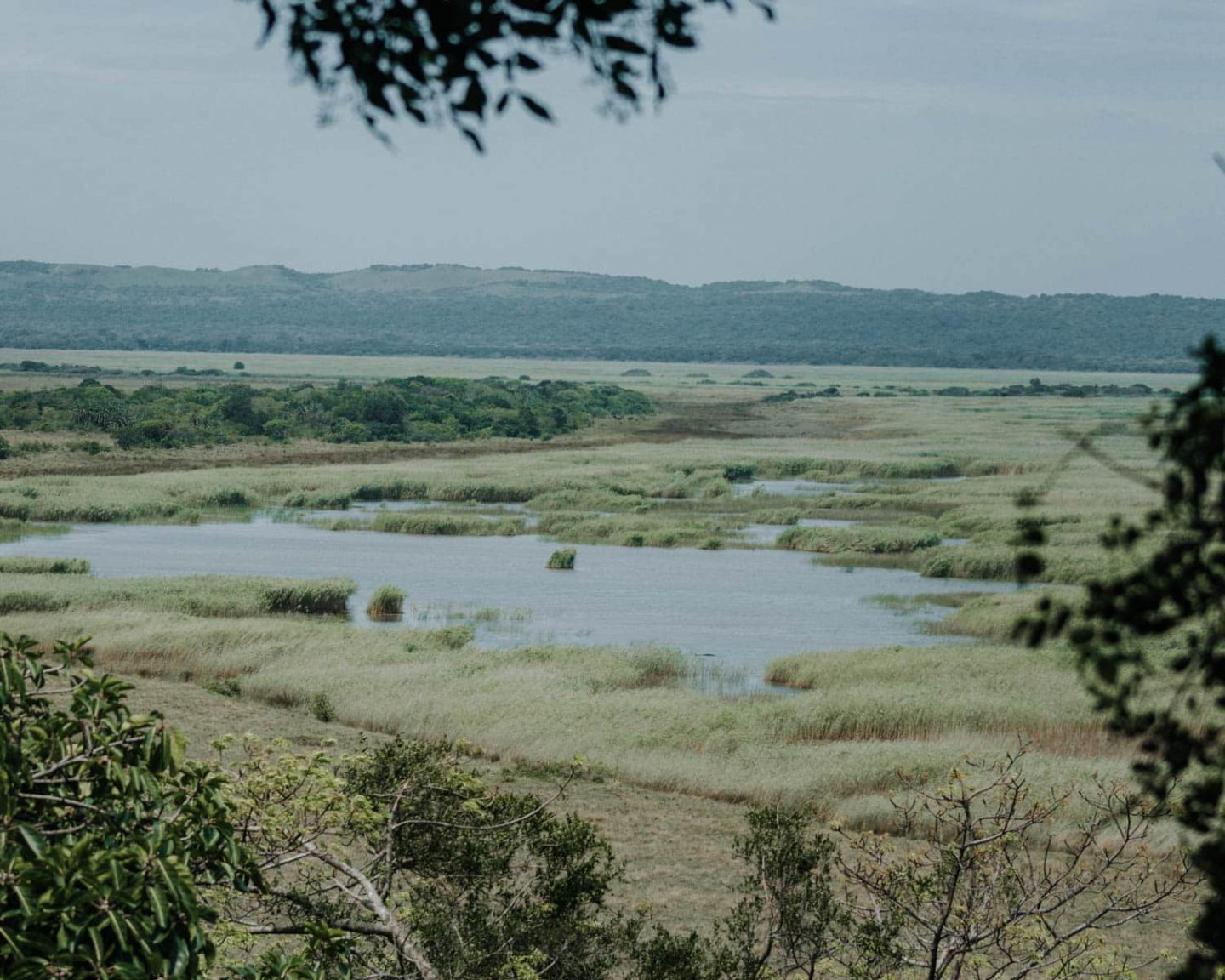 isimangaliso wetland park